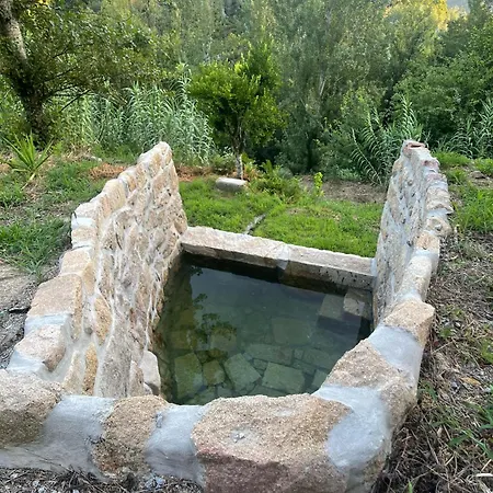 Nascente, Place In Nature Next To A Waterfall Loureiro (Porto)