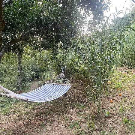 Nascente, Place In Nature Next To A Waterfall