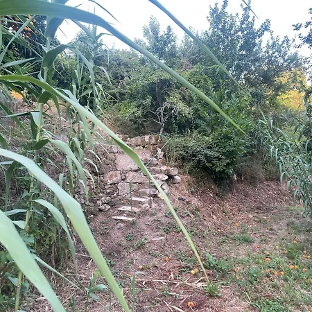 Tatil Evi Nascente, Place In Nature Next To A Waterfall