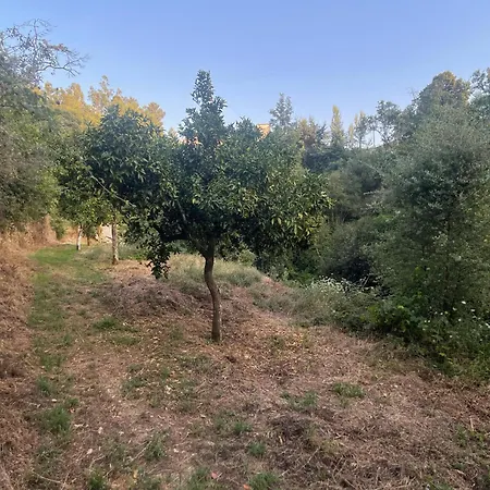 Nascente, Place In Nature Next To A Waterfall *