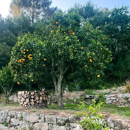 Nascente, Place In Nature Next To A Waterfall Loureiro (Porto)