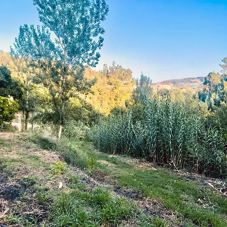 بيت للعطل Nascente, Place In Nature Next To A Waterfall