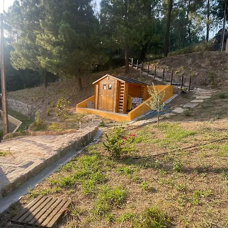 Nascente, Place In Nature Next To A Waterfall * Loureiro (Porto)