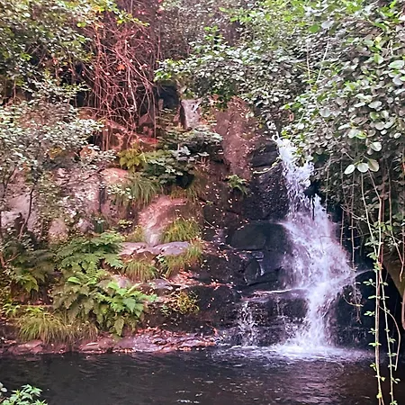 Nascente, Place In Nature Next To A Waterfall *