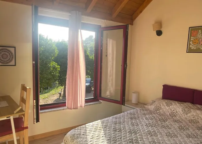 Nascente, Place In Nature Next To A Waterfall Loureiro (Porto)