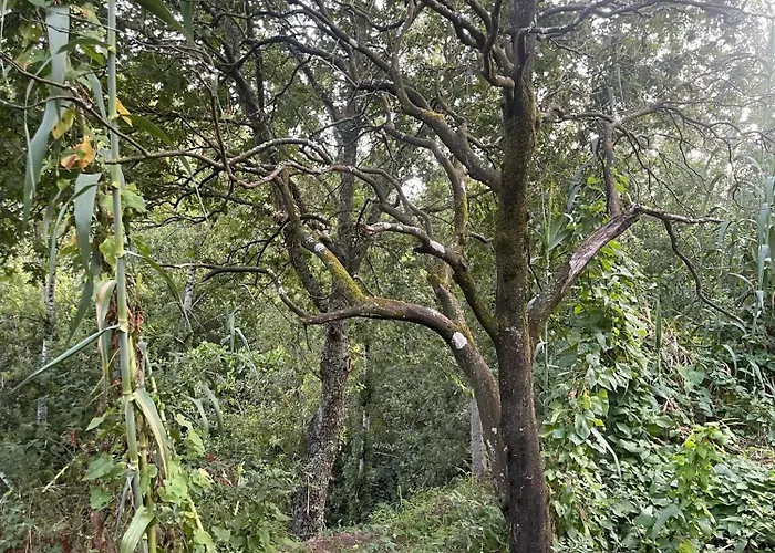 Nascente, Place In Nature Next To A Waterfall Dom wakacyjny *