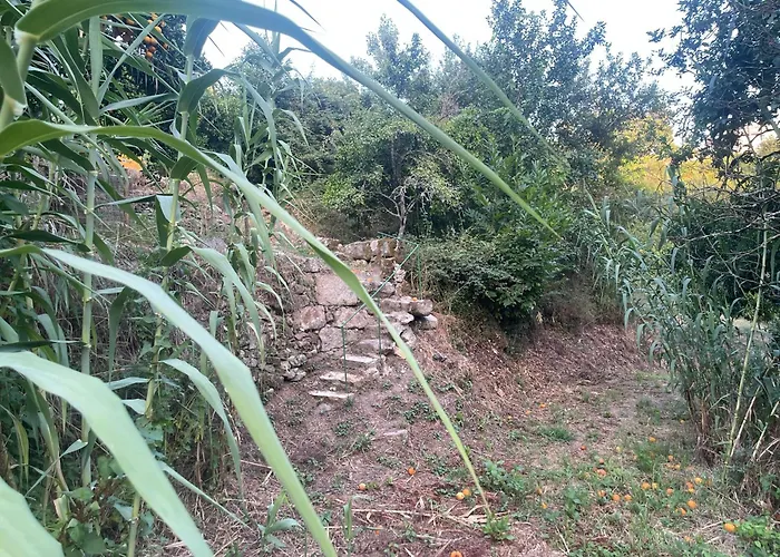 Dom wakacyjny Nascente, Place In Nature Next To A Waterfall