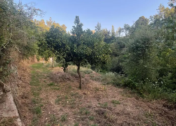 Nascente, Place In Nature Next To A Waterfall *