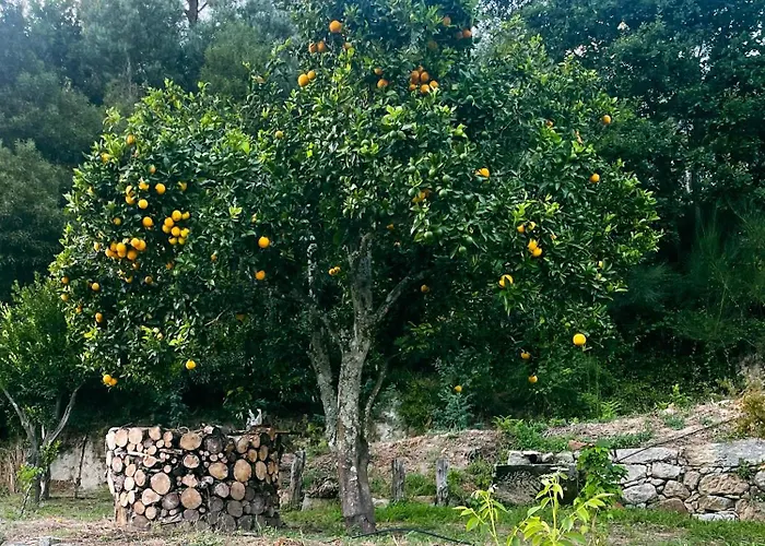 Nascente, Place In Nature Next To A Waterfall Loureiro (Porto)