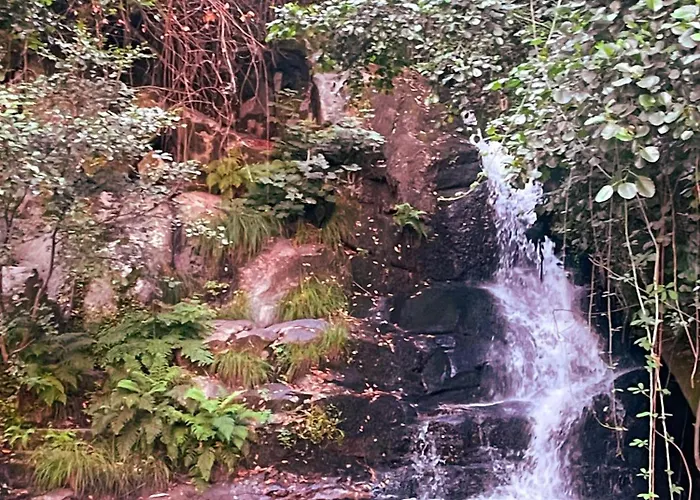 Nascente, Place In Nature Next To A Waterfall *